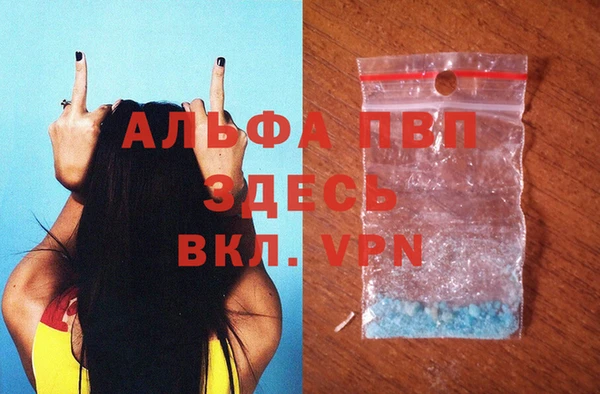 прущие грибы Лиски